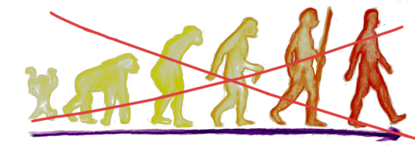 Evolution image