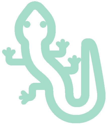 Lizard Icon