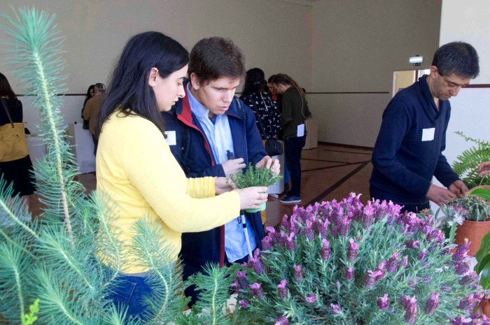 Blind person experiencing the smell of a plant